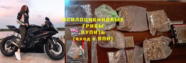 винт Армянск