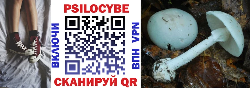 Псилоцибиновые грибы Psilocybe  Хотьково 